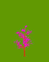 greenshift tree