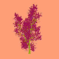 greenshift tree