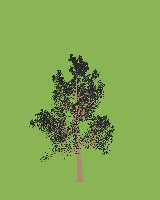 greenshift tree