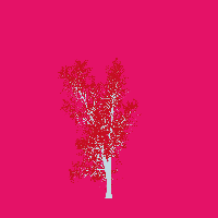 greenshift tree