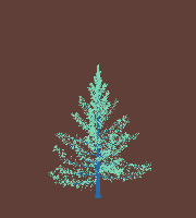greenshift tree