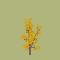 greenshift tree