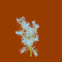greenshift tree