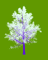 greenshift tree