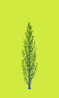 greenshift tree