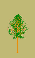 greenshift tree