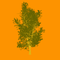 greenshift tree