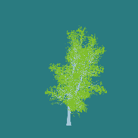 greenshift tree
