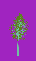 greenshift tree