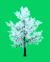 greenshift tree