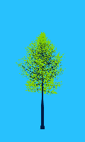 greenshift tree