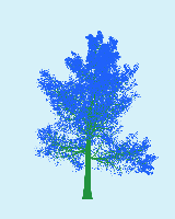 greenshift tree