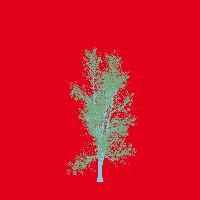 greenshift tree