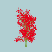 greenshift tree