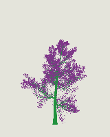 greenshift tree