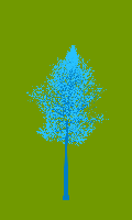 greenshift tree