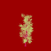 greenshift tree