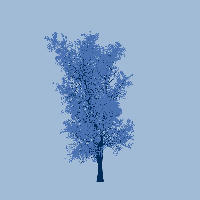 greenshift tree