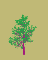 greenshift tree