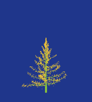 greenshift tree