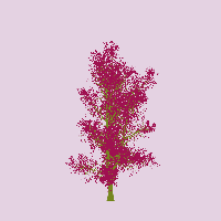 greenshift tree