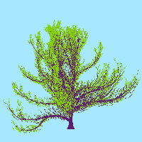 greenshift tree