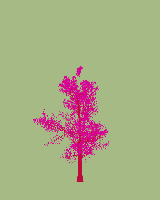 greenshift tree