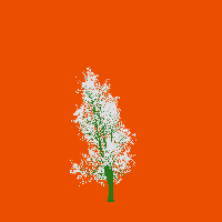 greenshift tree