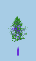 greenshift tree