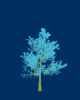 greenshift tree