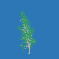 greenshift tree
