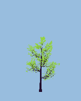 greenshift tree