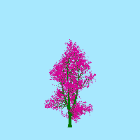 greenshift tree