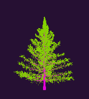 greenshift tree