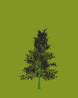 greenshift tree