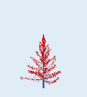 greenshift tree