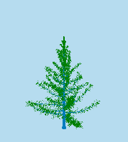 greenshift tree