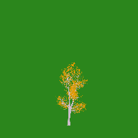 greenshift tree