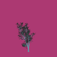 greenshift tree