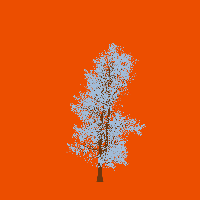 greenshift tree