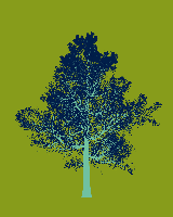 greenshift tree