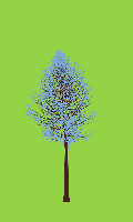 greenshift tree