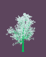 greenshift tree