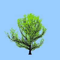 greenshift tree