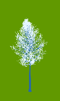 greenshift tree