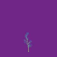 greenshift tree