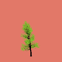 greenshift tree