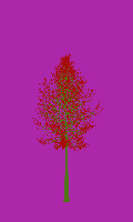 greenshift tree