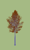 greenshift tree