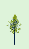 greenshift tree